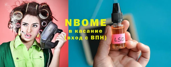 хмурый Алексин