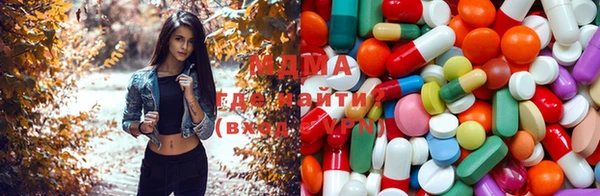 ГАЛЛЮЦИНОГЕННЫЕ ГРИБЫ Абаза