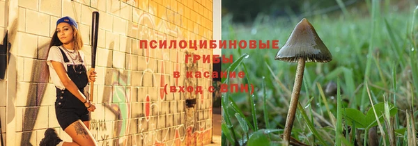 героин Алзамай