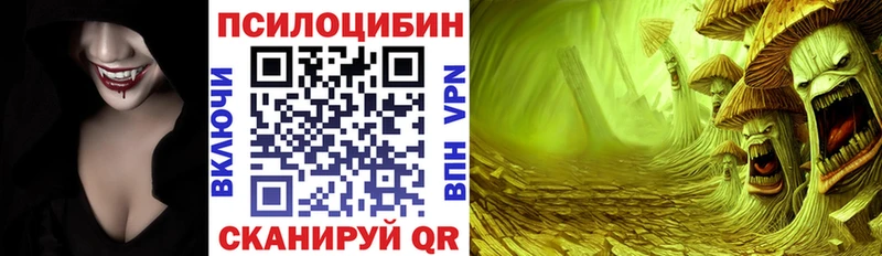 Псилоцибиновые грибы Psilocybine cubensis  Томари 